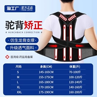 [Бионическая воздухопроницаемость] - Двойная поддержка киля + коррекция спины + коррекция горбуна - Черный тройной - Медицинская модель