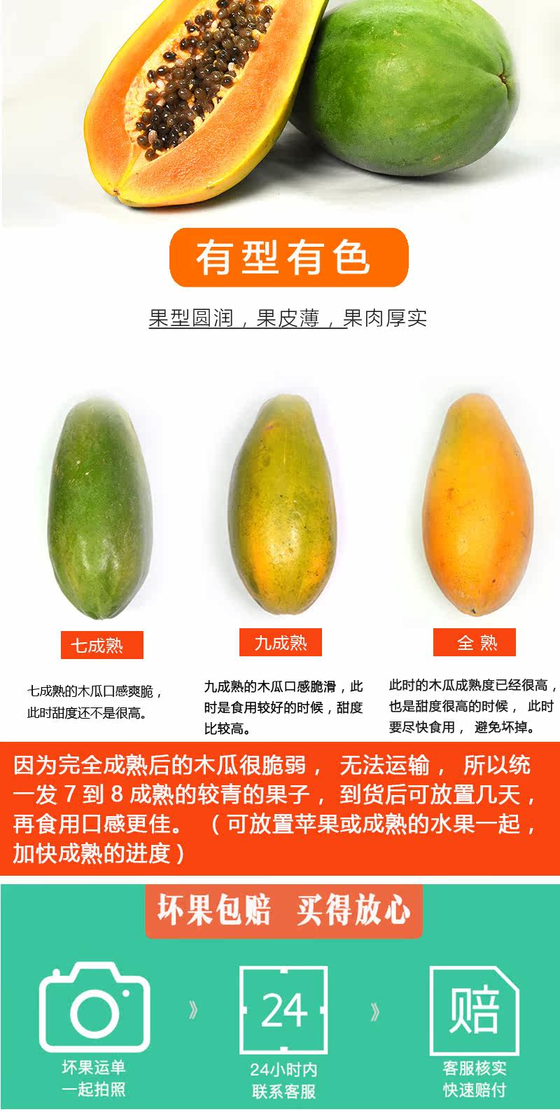 伊笑鲜 广西红心木瓜 9斤 图3