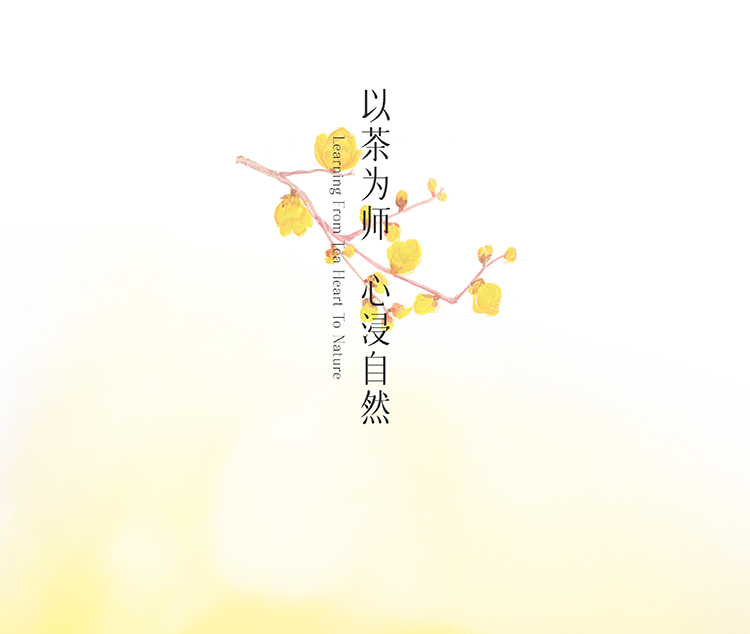 茶香師 桂花烏龍香水 獨特的東方韻味 國風花茶 意蘊豐富 無酒精 孕嬰皆可用50ml