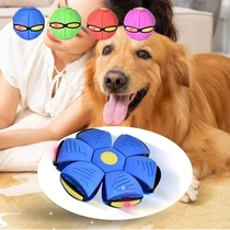 Pet Dog Toys Flying Saucer Ball Magic Deformation Outdoor Sp
