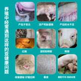 Sow Health Multi -Milk полон эструса, младенцев, мультибирта, диареи, короткой диареи, запора, точка для здоровья корм для здоровья корма для здоровья добавки.