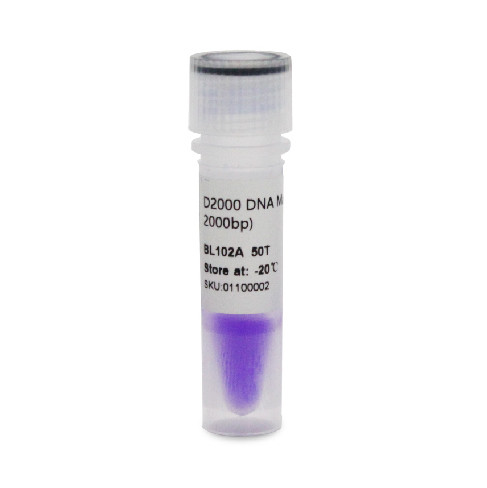 琼脂糖凝胶电泳DNA Marker100-1500bp/100-2000bp/100-5000bp