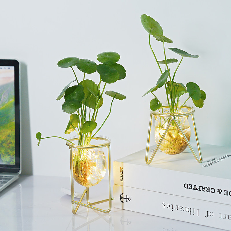 Creative Gold Glass Flower Vase BorderNordic Transparent Glass Plant Flower Garden Network Red in Decorative Decoration