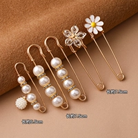 Корсет, брошь, комплект