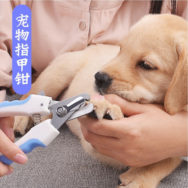 Tools for clipping dog nails Golden Retriever Edge Shepherd small and medium-sized large dog Teddy dog ​​cat nail clipper supplies