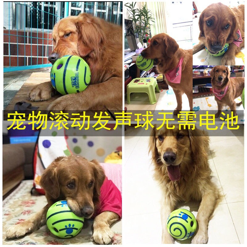 Pooch toy rolling vocal ball self-hi, call the ball, grind the tooth, and nibble the ball and pet the ball from the vocalite