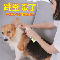 Dog in vitro insect repellent pet kitty body to flea except lice ticks flea clear dog-killing drug spray