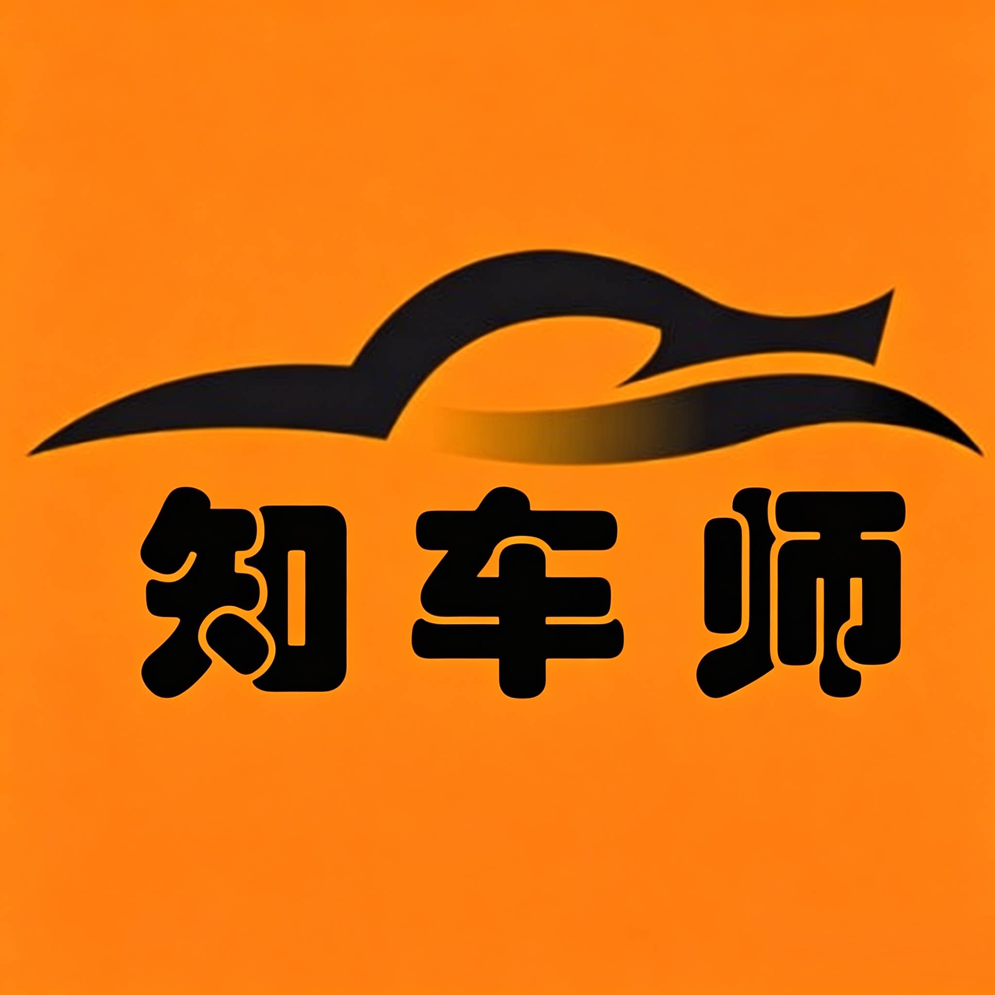 知车师导航改装框线协议盒