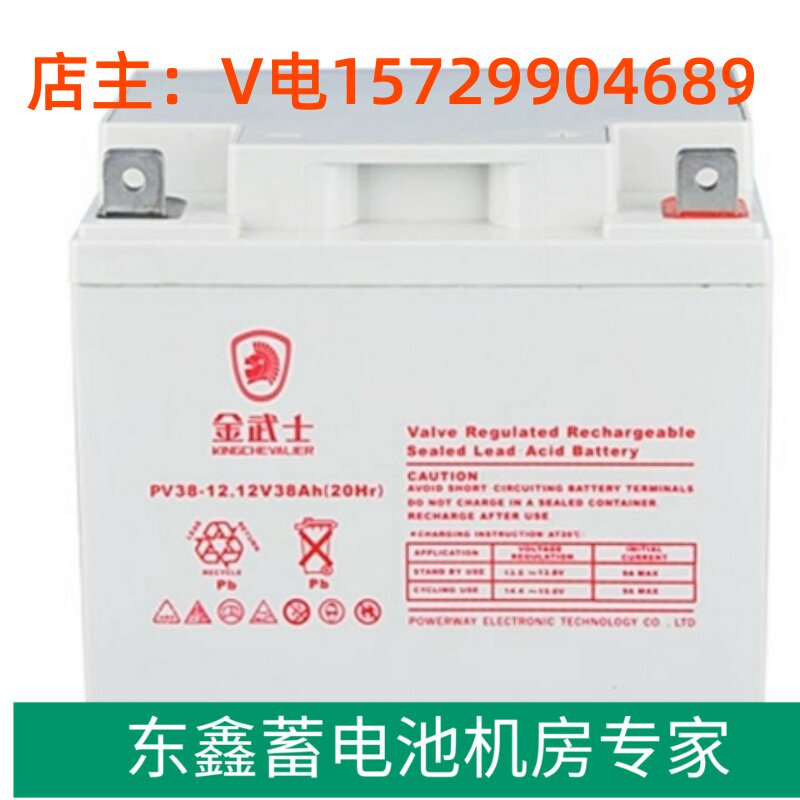 Golden Warrior Lead-acid Storage Battery 12V38AH PV38-12 Solar Energy Storage Battery UPS Power Direct Current Screen