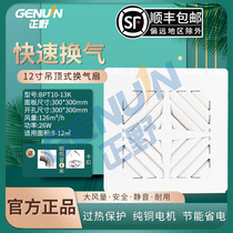 Positive field integrated ceiling BPT10-13K aluminium buckle plate kitchen ceiling pipe suction top powerful silent exhaust fan