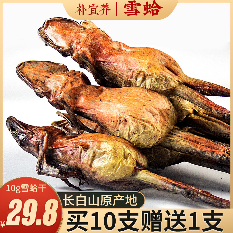 Buy 10 get 1 Northeast Changbai Mountain whole dried snow clams 10g fresh forest frog oil dried Jilin non-packaging gift box