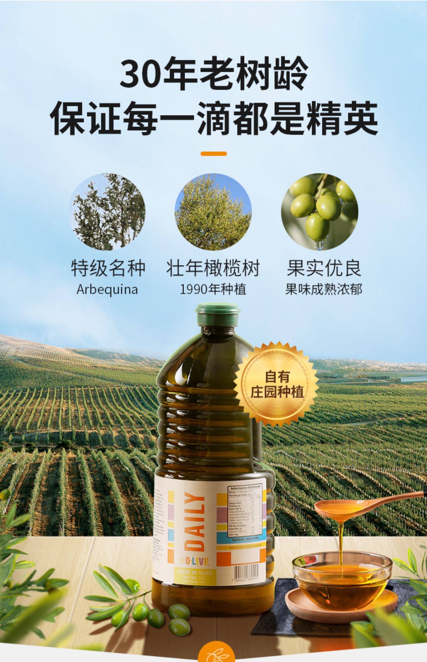 奥丽可特级初榨橄榄油2000ml