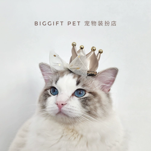 Маленький аксессуар для волос, заколка для волос, безвредная милая шапка