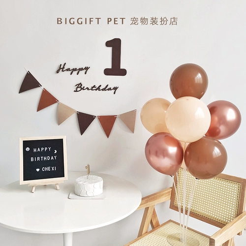 Вечернее платье, воздушный шар, нагрудник, кот, домашний питомец, наряжаться