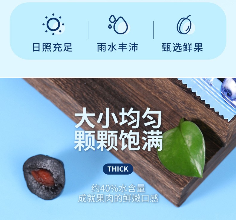 【可签到】老林果源蓝莓味李果408g