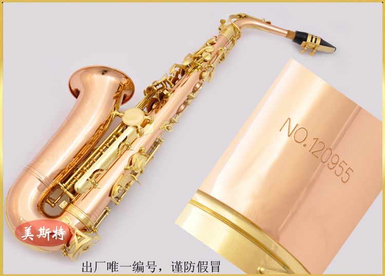 Nhạc cụ hay Nhạc cụ Saxophone Phosphor Đồng E-phẳng Alto Saxophone Nhạc cụ MAS-220 - Nhạc cụ phương Tây