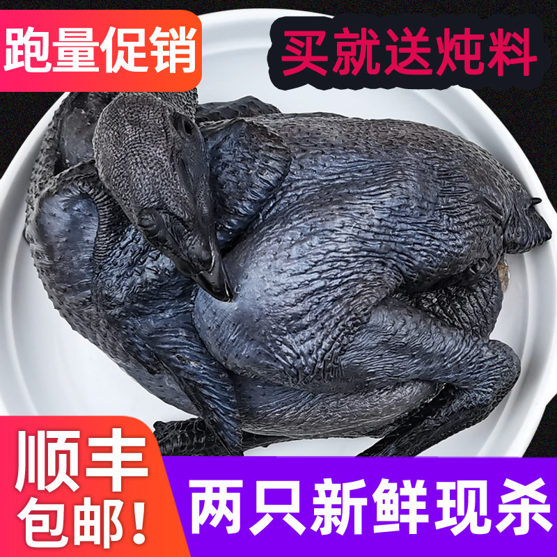 五黑鸡正宗乌鸡新鲜现杀走地鸡月子鸡怎么选?汤鲜甜香真有这么神?-其它鸡肉类-淘宝百科网