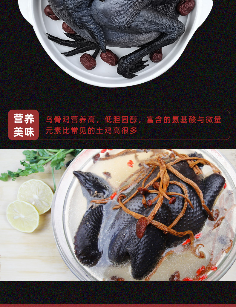 White Phoenix Black Chicken_06.jpg