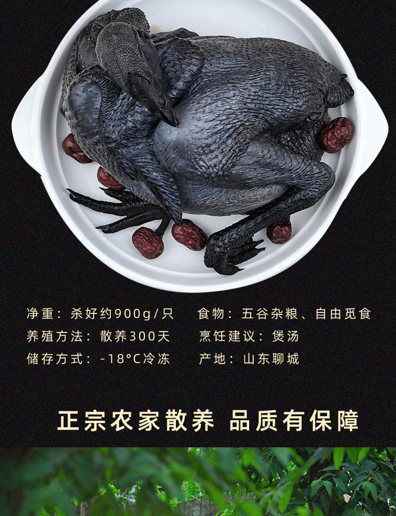 Белый феникс черный курица_02.jpg