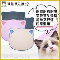 Pets cool mat Bite Resistant Small Dogs Ice Mat Summer Dog Nest Summer Sleeping Mat Cool Mat mat Mat Cat Mat Dog Cage Supplies