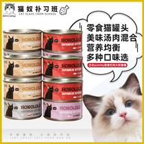 Japan Yummy Swallow Red Meat Fire Slave Ruu Thai Imported Cat Canned Cat Snacks 170g