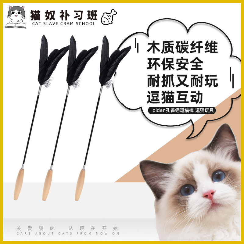 pidan peacock nestling with cat stick teasing cat toy teasing cat with carbon fiber softpole kitty goods feather substitutable