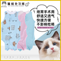 Kitty Cat Neutering Suit Surgery Suit Weaning Clothes New Magic Collage of Pet Clothes Three Optional