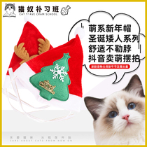 New pet headwear New Years Eve Hair Hoop Headgear Hat Small & Medium Kitty Dog Ornaments To Blame for Pet Supplies