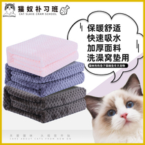 Kitty Pooch Mat Cat Sleeping Mat Winter Pet Kennel Winter Thickening Blanket Son Dog Cage Mat by Sub-autumn Winter
