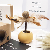 Yden Natural Handmade Cat Toy Teasing Cat God With Mint Toy Meet Natural Gourd