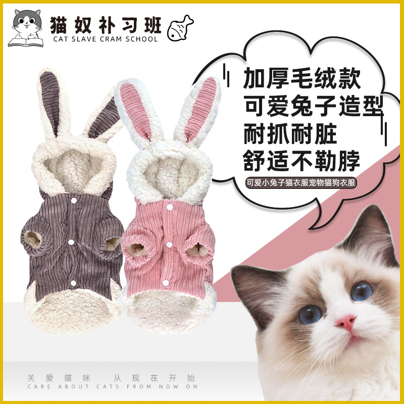 Cute little bunny cat clothes Pets Puppy kitty clothes Ying Short silver Gradual Layer Gaffi Cat Clothing Autumn Winter New