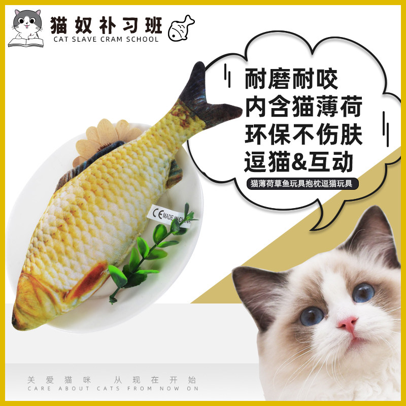 Catnip grass fish toy pillow tease cat toy cat pillow pet toy cat molar cat toy fish toy