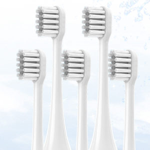 FUPAI福派电动刷头5支