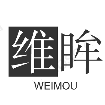 维眸旗舰店的LOGO