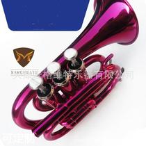 Beginner Atlantic Percussion Instruments Descent B Number of Pocket Palm instruments manufacturer Brass Peach Red Palm Number Customised