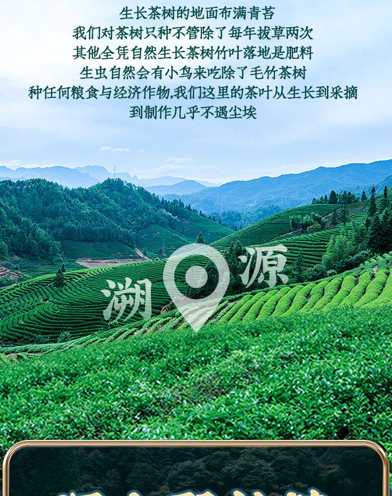 Jin Jun Mei Black Tea Loose Leaf Rich Aroma Daily Drinking Tea 100g quality and texture