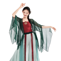 Sosuyas classical dance costumes elegant gauze performance costumes fairy-like Han costumes Chinese ancient style art examination repertoire costumes