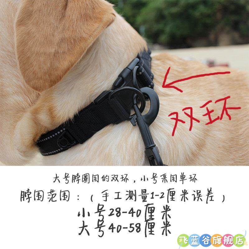 Dog Leash, Dog Collar, Pet Labrador Golden Retriever Anti-Explosion Chain, Small, Medium and Large Dog Collar