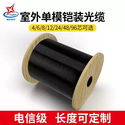 Optical cable outdoor single-mode 10 gigabit armored optical fiber line GYXTW4 6 8 12 24 48 96 core GYTA S national standard