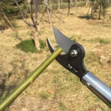 Новый продукт из нержавеющей стали, резки высоких резкостей, ножницы провинции садов, садоводство, редкие цветы, редкие фрукты, резаки и порезы