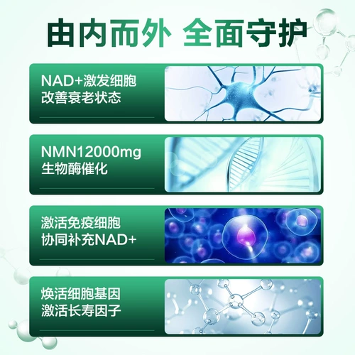 Импортированный NMN12000 в Соединенных Штатах для задержки повышенного усиления.
