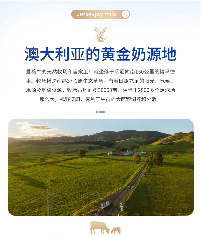 澳洲百年乳液家族 原装进口 爱薇牛 全脂高钙成人奶粉 280g 图13