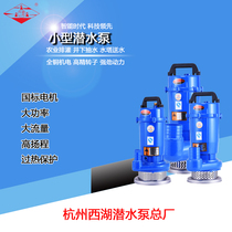 Hangzhou West Lake household 220 water pump well pump irrigation fountain submersible pump high lift agricultural sewage pump