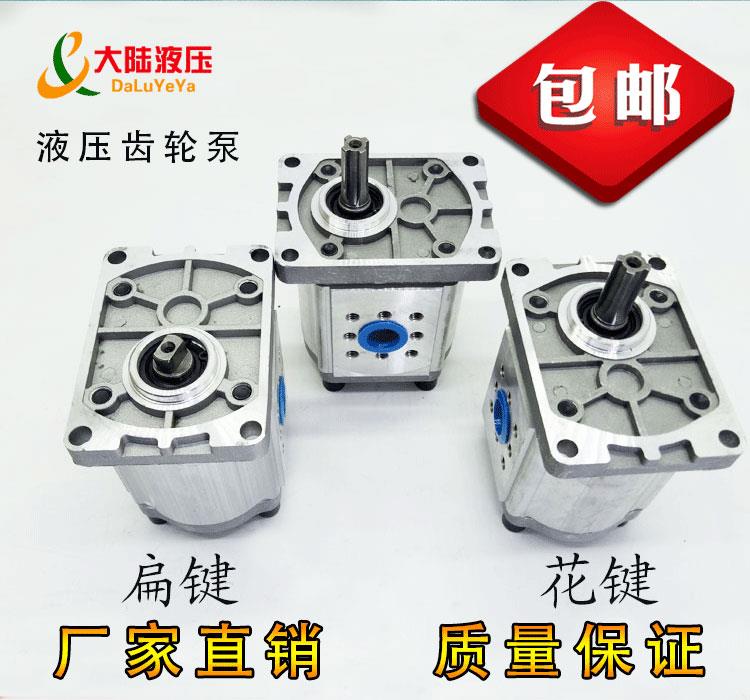 Hydraulic pump assembly cbn-f310 314316320 oil pump gear pump assembly indenter tractor lifting table