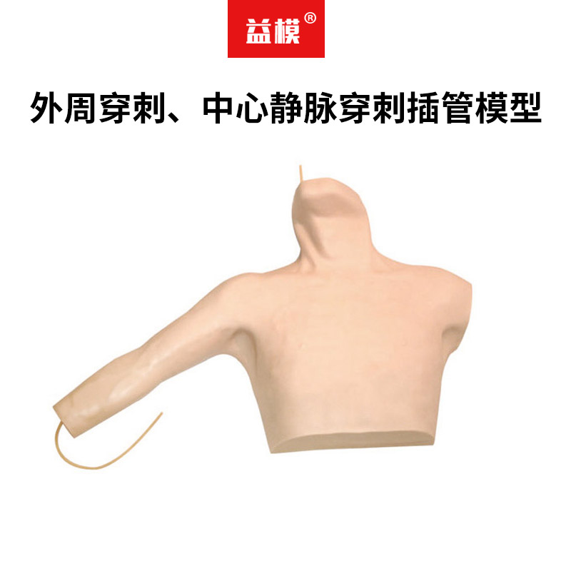 益模 外周穿刺、中心静脉穿刺插管模型 PICC置管训练模拟人 深静脉插管 锁骨下静脉穿刺及颈内静脉穿刺教具