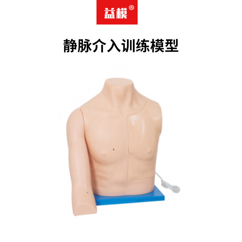 益模 静脉介入训练模型 静脉穿刺颈内锁骨下静脉穿刺模拟人 皮下中心静脉穿刺置管术模具