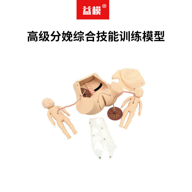 益模   高级分娩综合技能训练模型