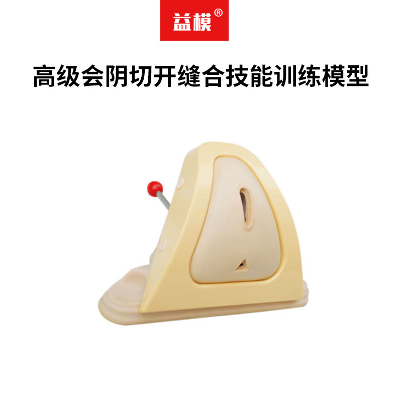 益模   高级会阴切开缝合技能训练模型 切开练习缝合练习女性会阴解剖结构模型