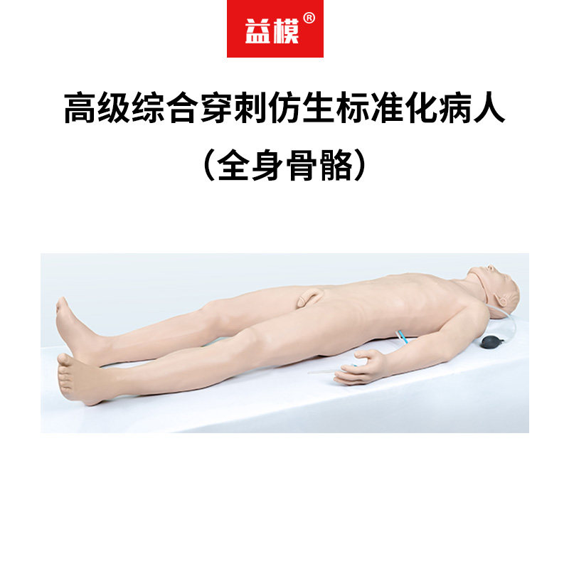 益模   高级综合穿刺仿生标准化病人（全身骨骼）