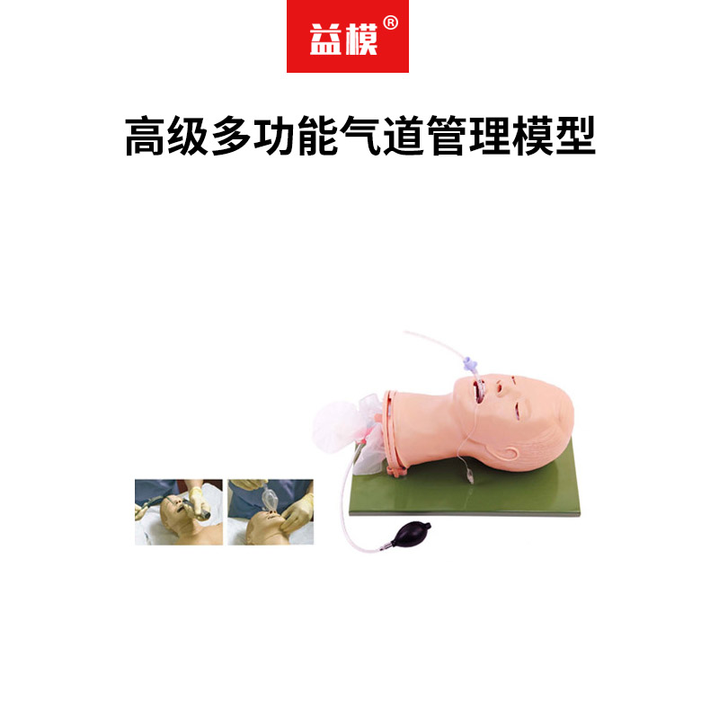 益模  高级多功能气道管理模型 Sellick手法操作模拟气道痉挛教具